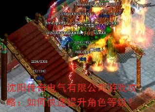 沈阳传奇电气有限公司游戏攻略:如何快速提升角色等级? 沈阳传奇电气有限公司游戏攻略:如何快速提升角色等级?