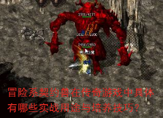 冒险系契约兽在传奇游戏中具体有哪些实战用途与培养技巧? 冒险系契约兽在传奇游戏中具体有哪些实战用途与培养技巧?