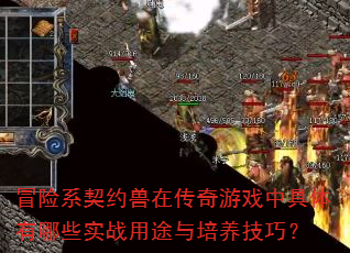 冒险系契约兽在传奇游戏中具体有哪些实战用途与培养技巧? 冒险系契约兽在传奇游戏中具体有哪些实战用途与培养技巧?