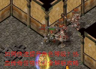 如何快速提升角色等级?热血传奇怪物经验全解析攻略 如何快速提升角色等级?热血传奇怪物经验全解析攻略