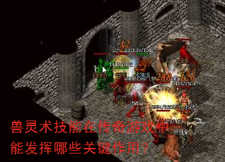 兽灵术技能在传奇游戏中能发挥哪些关键作用? 兽灵术技能在传奇游戏中能发挥哪些关键作用?
