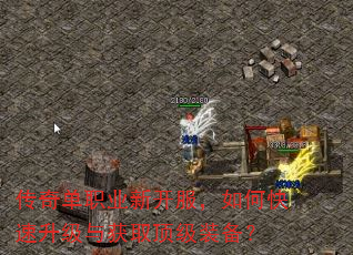 传奇单职业新开服,如何快速升级与获取顶级装备? 传奇单职业新开服,如何快速升级与获取顶级装备?