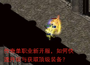 传奇单职业新开服,如何快速升级与获取顶级装备? 传奇单职业新开服,如何快速升级与获取顶级装备?