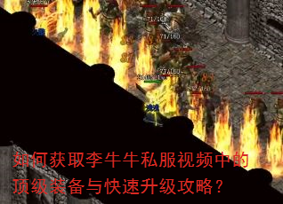 如何获取李牛牛私服视频中的顶级装备与快速升级攻略? 如何获取李牛牛私服视频中的顶级装备与快速升级攻略?