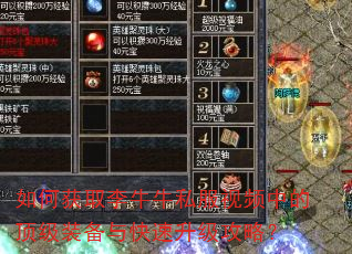 如何获取李牛牛私服视频中的顶级装备与快速升级攻略? 如何获取李牛牛私服视频中的顶级装备与快速升级攻略?