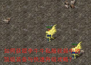 如何获取李牛牛私服视频中的顶级装备与快速升级攻略? 如何获取李牛牛私服视频中的顶级装备与快速升级攻略?