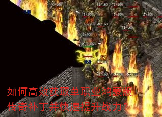 ��θ�Ч��ȡ��ְҵ���ɰ洫�油������������ս����