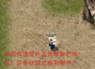 如何快速提升龙传奇角色等级?装备获取攻略有哪些? 如何快速提升龙传奇角色等级?装备获取攻略有哪些?