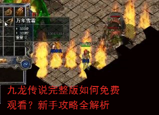 九龙传说完整版如何免费观看?新手攻略全解析 九龙传说完整版如何免费观看?新手攻略全解析