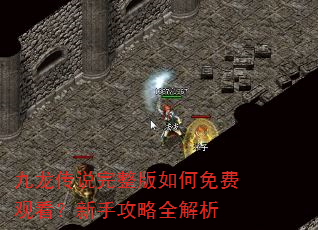 九龙传说完整版如何免费观看?新手攻略全解析 九龙传说完整版如何免费观看?新手攻略全解析