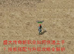 盛大传奇新职业如何快速上手?技能搭配与升级攻略全解析 盛大传奇新职业如何快速上手?技能搭配与升级攻略全解析