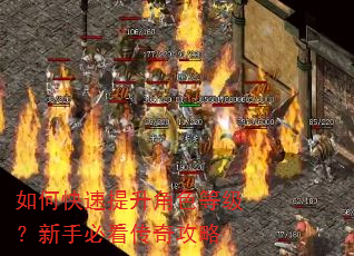 如何快速提升角色等级?新手必看传奇攻略 如何快速提升角色等级?新手必看传奇攻略