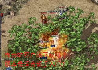 传奇SF客户端下载哪个版本最适合新手入门? 传奇SF客户端下载哪个版本最适合新手入门?