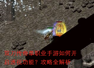 双刀传奇单职业手游如何开启透视功能?攻略全解析 双刀传奇单职业手游如何开启透视功能?攻略全解析