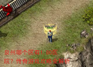 泉州哪个区有1.80医院?传奇游戏攻略全解析 泉州哪个区有1.80医院?传奇游戏攻略全解析