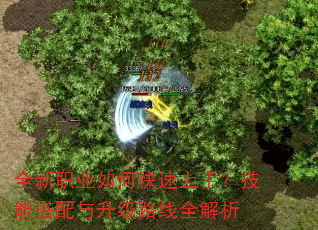 全新职业如何快速上手?技能搭配与升级路线全解析 全新职业如何快速上手?技能搭配与升级路线全解析
