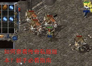 ��β鿴����˽���汾�����ֱؿ�ָ��